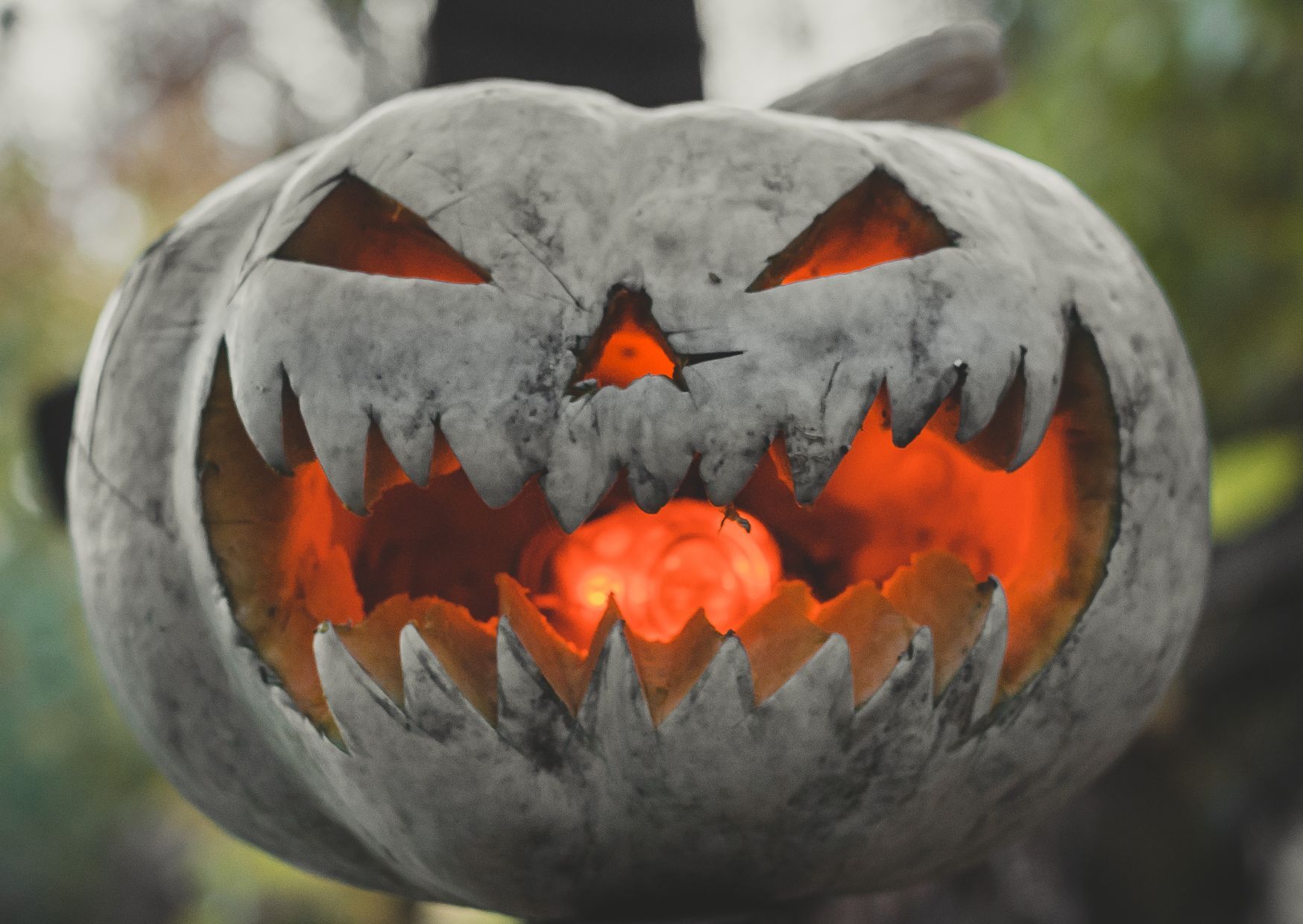 Image is a scary Halloween pumpkin. It's grey with an orange glow.
